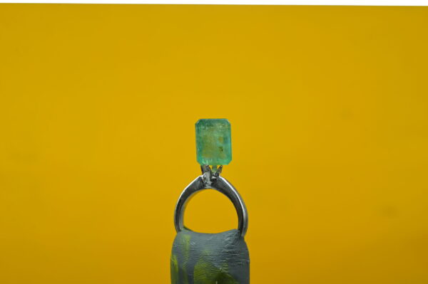Panna 6.84 Carat