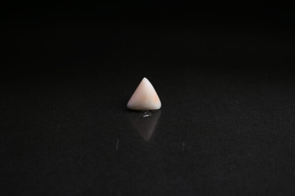 White Moonga 8.26 Carat