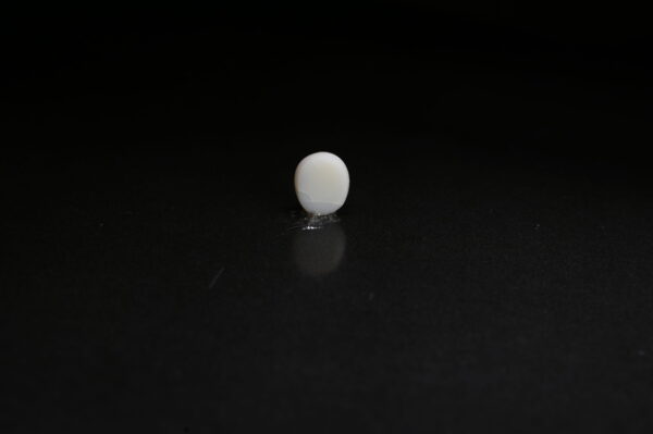 White Moonga 3.33 Carat