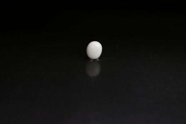 White Moonga 3.33 Carat - Image 2