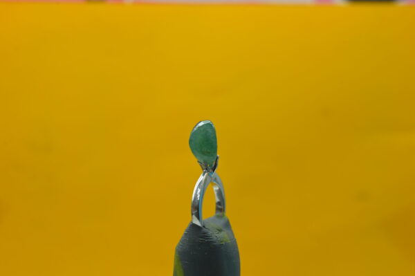Panna 7.44 Carat - Image 3