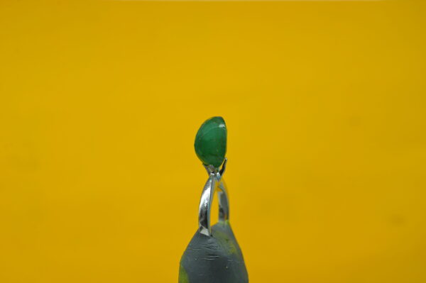 Panna 8.71 Carat