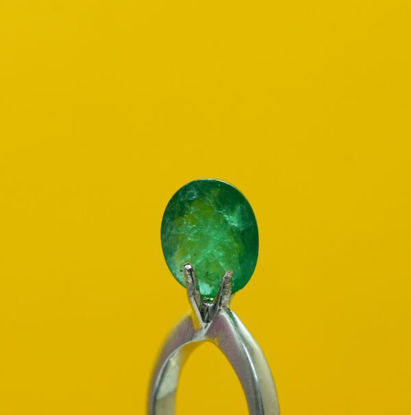 Panna 4.89 Carat