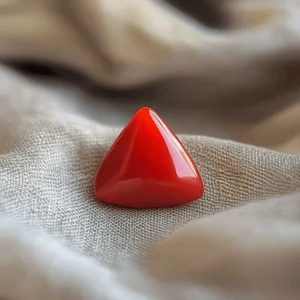 Triangular Red Coral (Moonga)